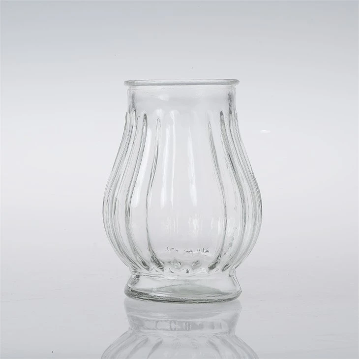 Transparent Vase For Flower